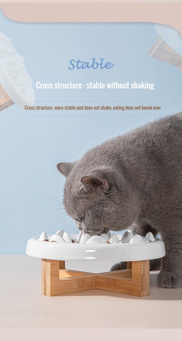 Slow-feed-bowl-for-cats-dogs