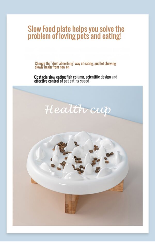 Slow-feed-bowl-for-cats-dogs